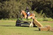 Vente poney D  1.48 12 ans 