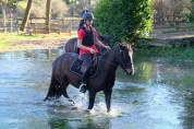 Towlaghlilly 12 ANS sport