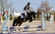 Towlaghlilly 12 ANS sport