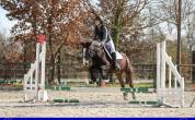 Towlaghlilly 12 ANS sport