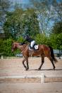 Jument cso et dressage