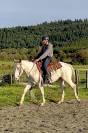 Cheval Loisir