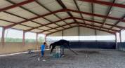Cavalla Cavallo da Sport Irlandese In vendita 2020 Nero