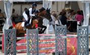 Jument à vendre - La Star du Roulard (Exploit de Roulard x Galantine VD Ronevall