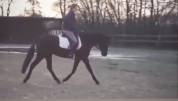 Ponette grand D ONC 6 ans 