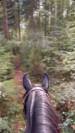 Ponette grand D ONC 6 ans 