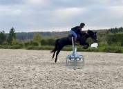 Ponette grand D ONC 6 ans 