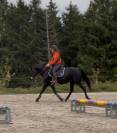 Ponette grand D ONC 6 ans 