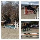 Ponette de sport 148 cm 6 ans ONC