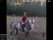 Noleggio pony irlandese 6anni