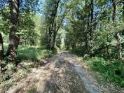 Maison de campagne sur 9 ha bois et prairies