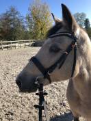 Ponette OC 7ans
