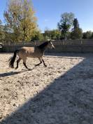Ponette OC 7ans