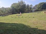 Pension troupeau pour chevaux