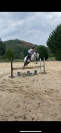 Poney à vendre 