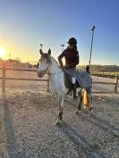 Poney à vendre 