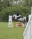 Poney à vendre 