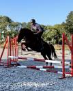 Jument 170cm sf 