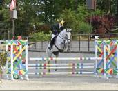 Hongre 8 ans CCE / CSO