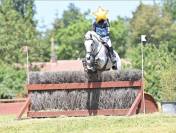 Hongre 8 ans CCE / CSO