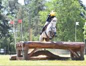Hongre 8 ans CCE / CSO