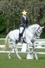 Hongre 8 ans CCE / CSO