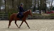 Ponette PFS Taille D 3 ans 