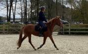 Ponette PFS Taille D 3 ans 