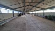 Explotaci&oacute;n agr&iacute;cola En venta Gers