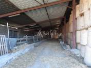 Explotación forestal En venta Deux-Sèvres