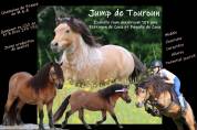 Potranca Shetland En venta 2025 Isabelo por Jump de Touroun