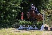 Cavalla KWPN 2015