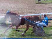 TROTTEUR FRANCAIS REFORME COURSES 2024