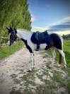 Ponette pie sport 