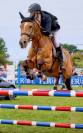 Caballo de Salto para alevín o amateur 