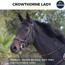 CROWTHORNE LADY - PS - 3 ANS