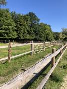 Places en pension et location boxes disponibles 