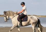 Cheval, jument PRE