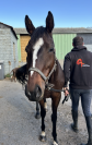 SLICK - 5ans - 1m60