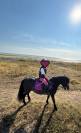 poney A section B