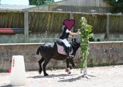 poney A section B