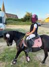 poney A section B
