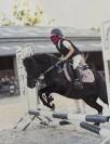 poney A section B