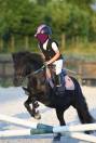 poney A section B