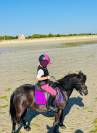 poney A section B