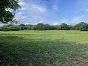 Pension retraite chevaux Calvados 10m Cabourg 