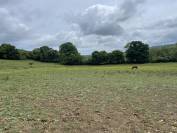 Pension retraite chevaux Calvados 10m Cabourg 