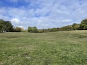 Pension retraite chevaux Calvados 10m Cabourg 