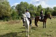 Poney D loisir