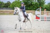 Poney D loisir